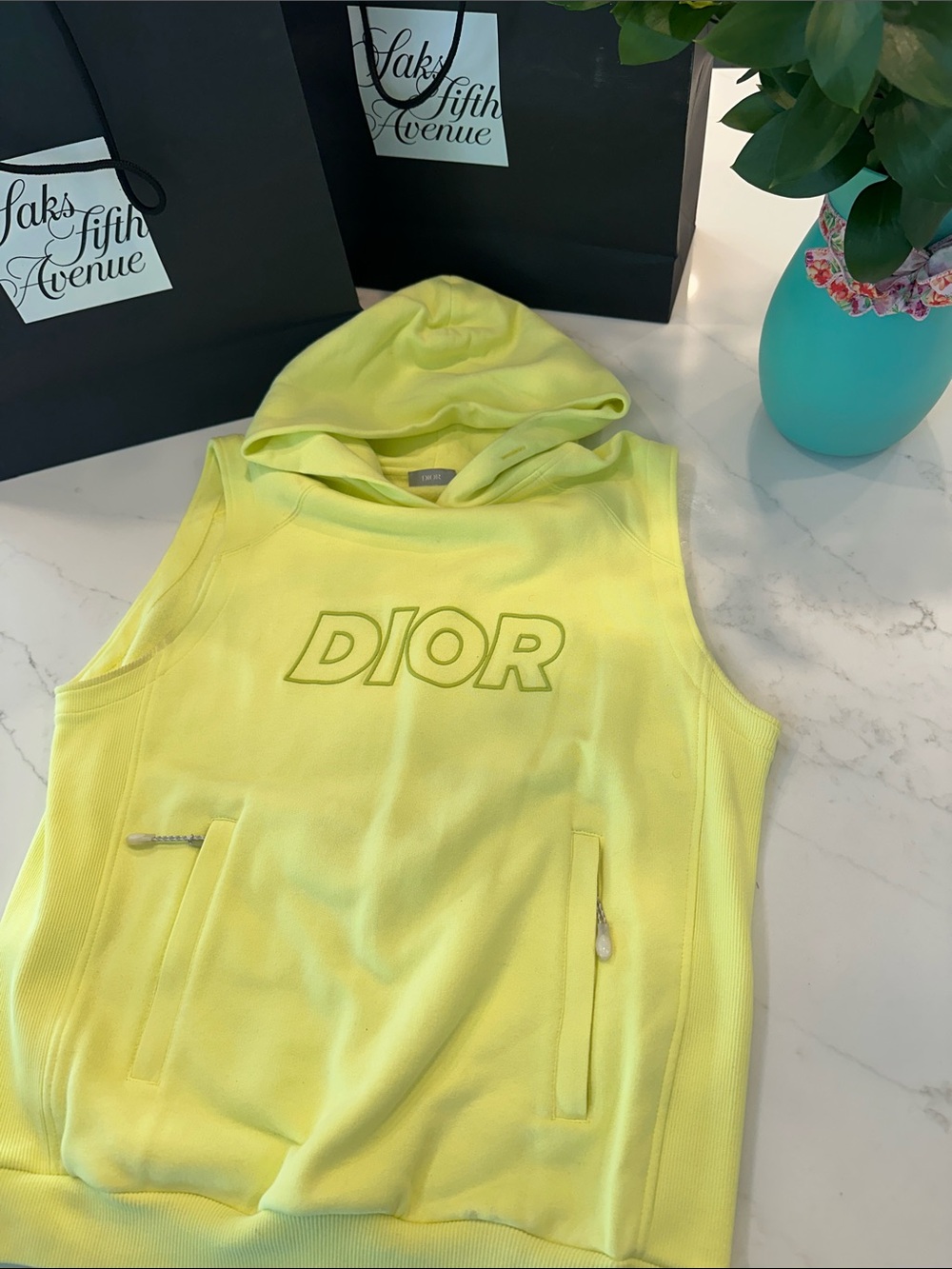 Dior LOGO Sleeveless Hoodie in Lemon
